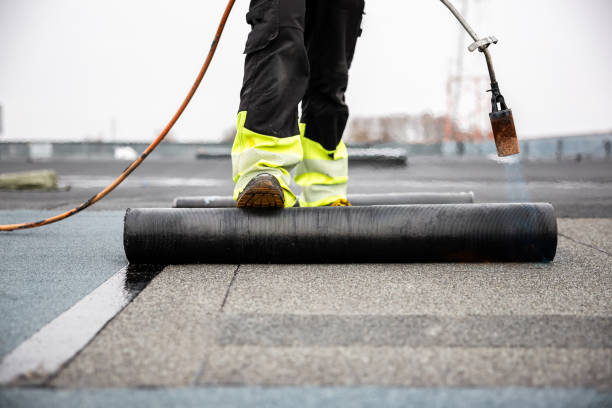 Best Sheet Metal Roofing  in Lapeer, MI